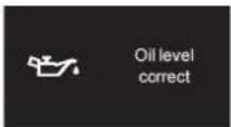 DS 4 (2014) - Engine oil level indicator - 4