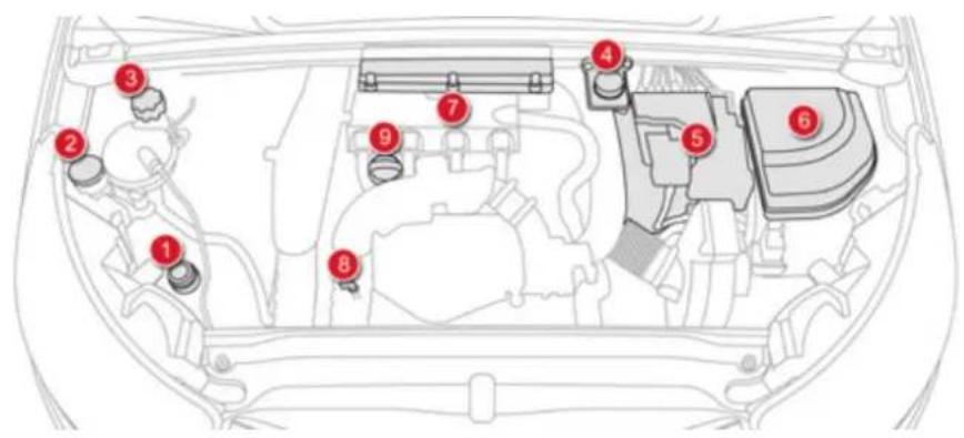 Diagram of a car engine bay with numbered components for identification