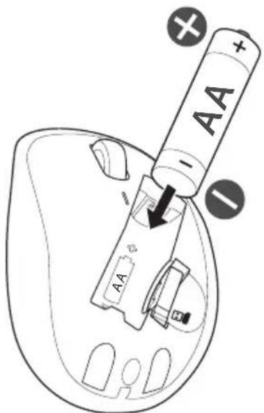 AA -