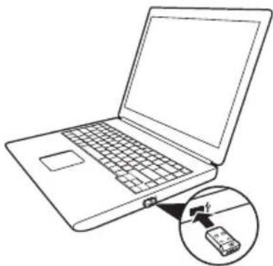HP WM126 - Setting up your wireless mouse - 5
