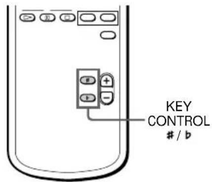 KEY CONTROL / b