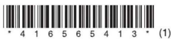 * 4 1 6 5 6 5 4 1 3 * (1)