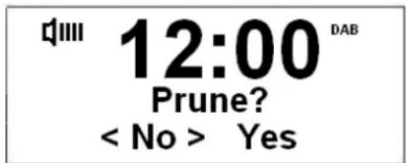 12:00 DAB Prune? < No > Yes