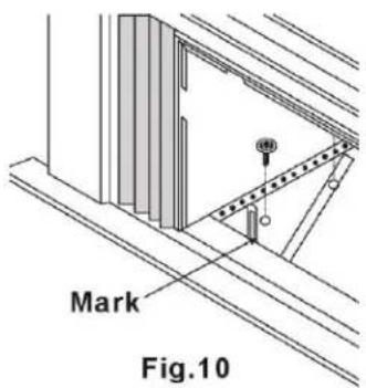 Mark Fig.10