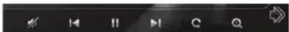 Screenshot of a software toolbar with playback, pause, stop, refresh, and download icons