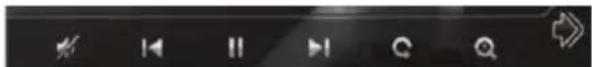 Screenshot of a software toolbar with playback, pause, play, refresh, and navigation icons
