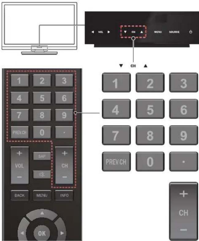 VOL CH MENU SOURCE 1 2 3 4 5 6 7 8 9 PREV.CH 0 · + VOL - SAP CH - BACK MENU INFO OK 1 2 3 4 5 6 7 8 9 PREV.CH 0 · + CH -