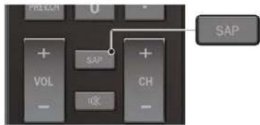 PREVCH SAP VOL SAP CH SAP