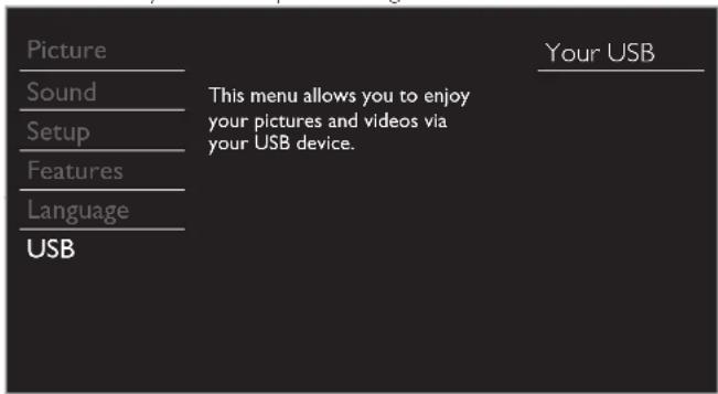 Picture Sound Setup Features Language USB This menu allows you to enjoy your pictures and videos via your USB device. Your USB