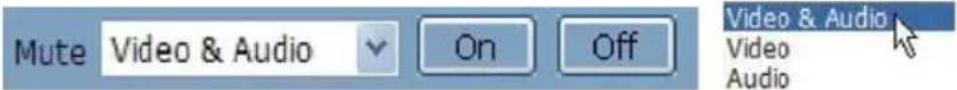 Mute Video & Audio On Off Video & Audio Video Audio