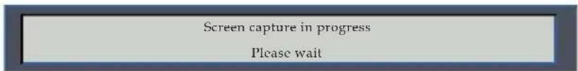Screen capture in progress Please wait