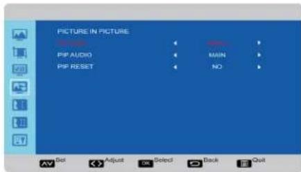 PICTURE IN PICTURE PIP AUDIO PIP RESET OK MAIN NO Set Adjust Select Back Quit