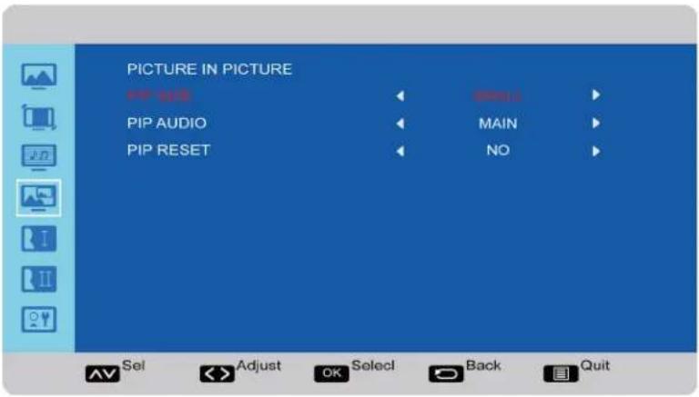 PICTURE IN PICTURE PIP 1/25 PIP AUDIO PIP RESET OK MAIN NO AV Sel Adjust OK Select Back Quit