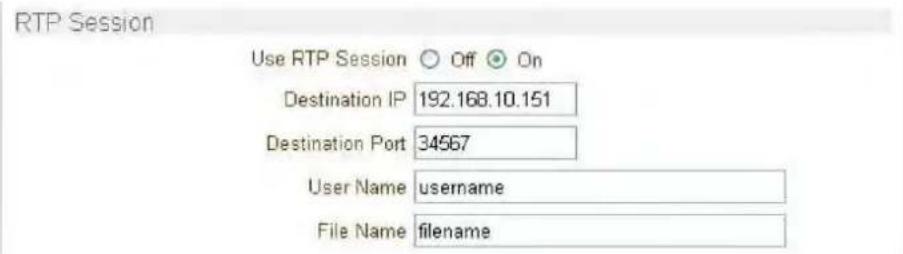 RTP Session Use RTP Session ○ Off ● On Destination IP 192.168.10.151 Destination Port 34567 User Name username File Name filename