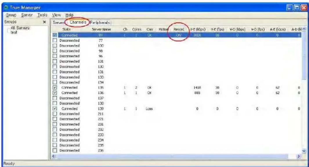 True Manager Group Server Tools View Help Groups All Servers test Server Channels Peripherals State Server Name Ch Coins Can Motion Record V-E (kbps) V-E (fps) V-D (kbps) V-D (fps) A-E (Kcps) A-D (N) Connected 89 L 1 OK ON 328 30 0 0 0 0 Disconnected 77 Disconnected 100 Disconnected 96 Disconnected 96 Disconnected 101 Disconnected 130 Disconnected 131 Disconnected 133 Disconnected 134 Connected 135 L 2 OK 1418 30 0 0 62 0 Connected 136 L 1 OK 888 30 0 0 62 0 Disconnected 137 Disconnected 138 Connected 139 L 1 Loss 0 0 0 0 0 0 Disconnected 211 Disconnected 221 Disconnected 231 Disconnected 232 Disconnected 233 Disconnected 234 Disconnected 235 Disconnected 236 Ready