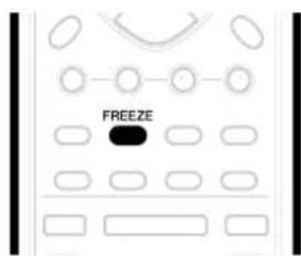 FREEZE