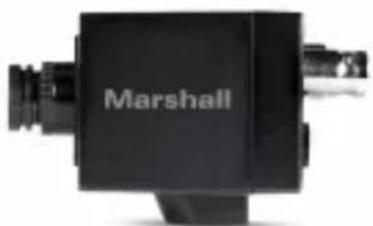 Marshall