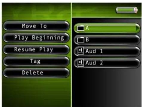Move To Play Beginning Resume Play Tag Delete A B Aud 1 Aud 2