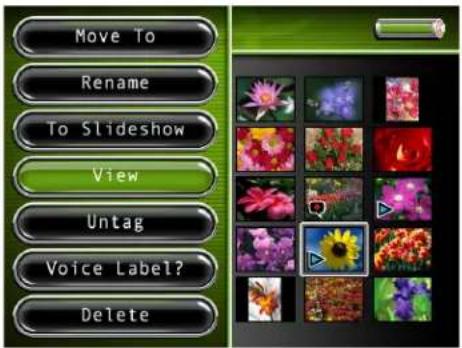 Move To Rename To Slideshow View Untag Voice Label? Delete