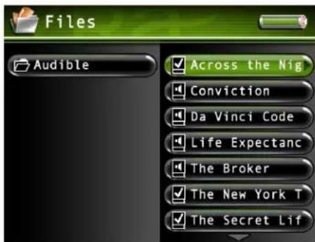Files Audible Across the Nig Conviction Da Vinci Code Life Expectanc The Broker The New York T The Secret Lif