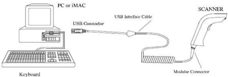 PC or iMAC USB Connector USB Interface Cable Keyboard SCANNER Modular Connector