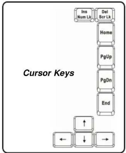 MSI M635 - Cursor Keys - 1