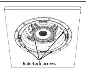 Roto-Lock Screws