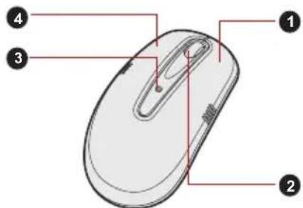 Diagram of a computer mouse with numbered parts labeled 1, 2, and 3 pointing to different regions.