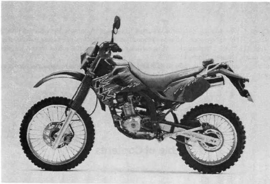 Side profile of a modified off-road motorcycle with visible wheel and suspension components (no text or symbols)