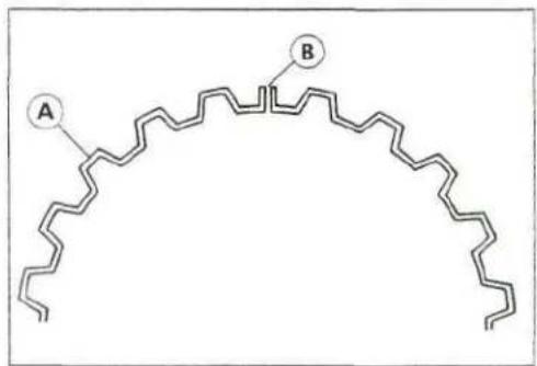 A B