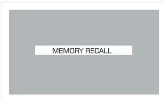 MEMORY RECALL