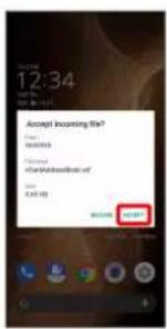 Accept Incoming File? File: 3600000 Microsoft @Healthcare.com/ Add 8:00:00 OK OK
