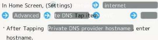 In Home Screen, (Settings) internet Advanced private DNS Tap item After Tapping Private DNS provider hostname, enter hostname.
