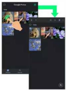 Google Photo Water Water Water Water Water