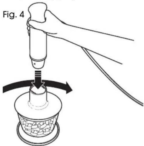Fig. 4