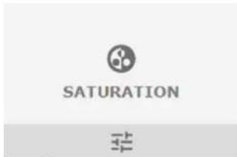 SATURATION