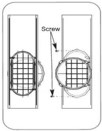 Screw