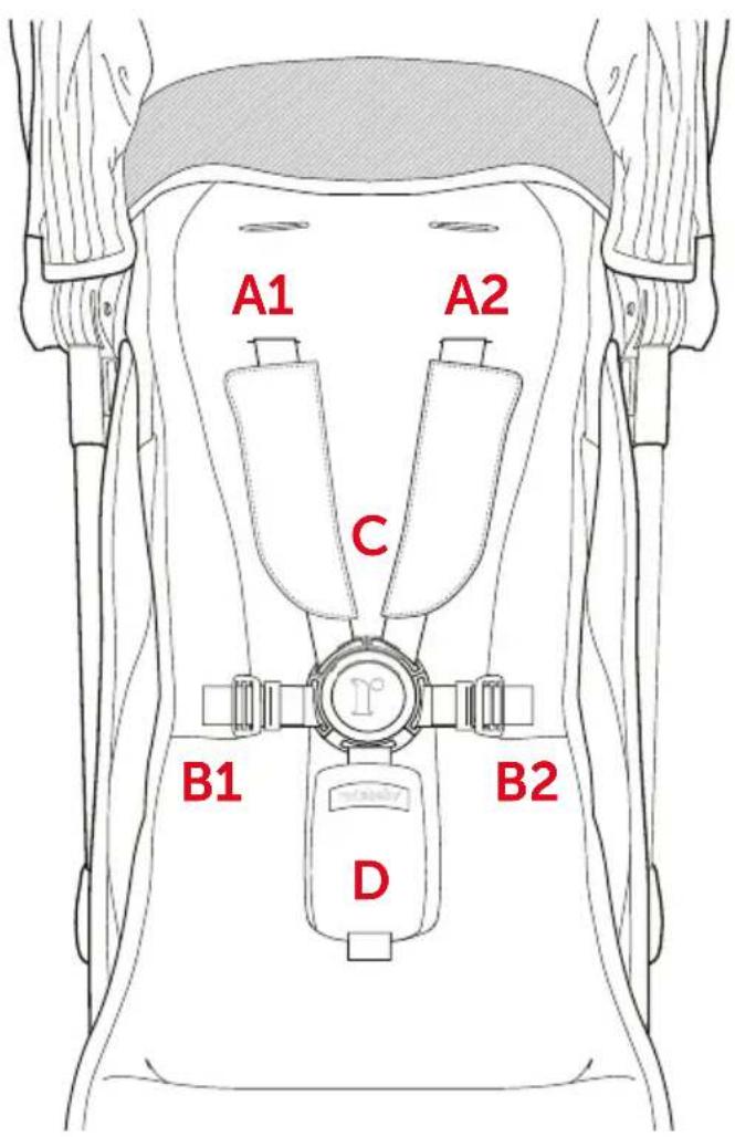 A1 A2 C B1 B2 D