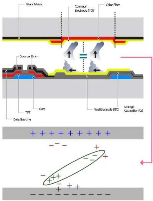 Black Matrix Common Electrode (ITO) Color-Filter Source Drain Gate Pixel Electrode (ITO) Storage Capacitor (Cs) Delta Bus-Line + + + + + + + - - - - - + - + + - + +
