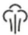 OSTER GCSTBS5855013 - JATO DE VAPOR VERTICAL - 1