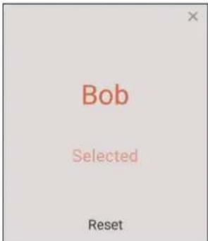 Bob Selected Reset