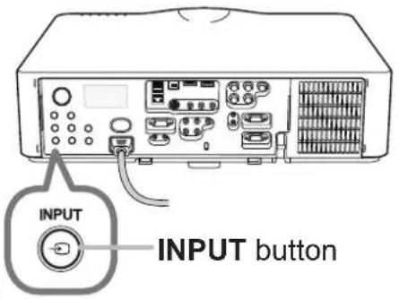 INPUT INPUT button