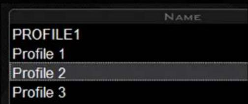 NAME PROFILE1 Profile 1 Profile 2 Profile 3