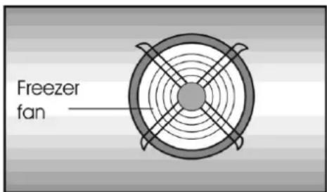 Freezer fan