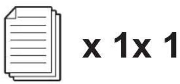 x 1x 1