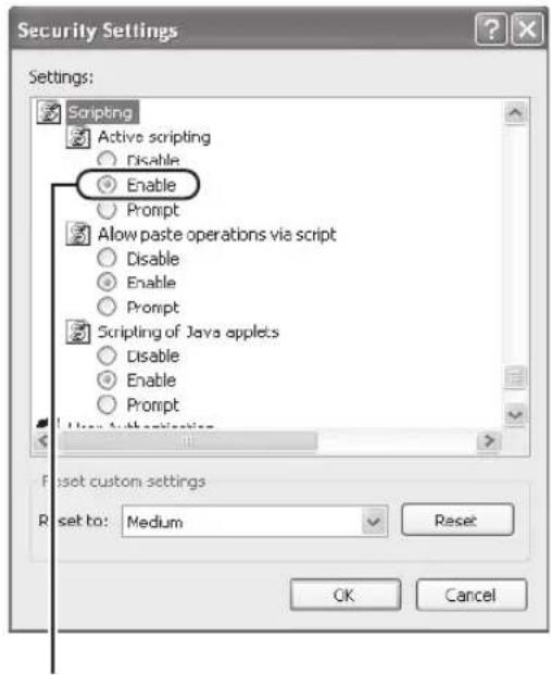 Security Settings Settings: Scripting Active scripting Disable Enable Prompt Allow paste operations via script Disable Enable Prompt Scripting of Java applets Disable Enable Prompt User Authentication Reset custom settings Reset to: Medium Reset OK Cancel