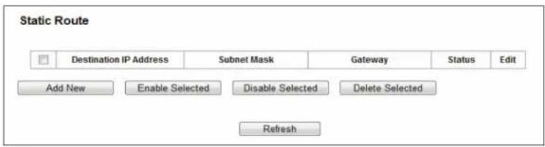 Static Route Destination IP Address Subnet Mask Gateway Status Edit Add New Enable Selected Disable Selected Delete Selected Refresh