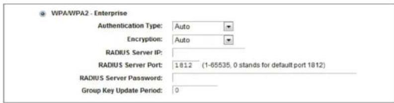 WPA/WPA2 - Enterprise Authentication Type: Auto Encryption: Auto RADIUS Server IP: RADIUS Server Port: 1812 (1-65535, 0 stands for default port 1812) RADIUS Server Password: Group Key Update Period: 0