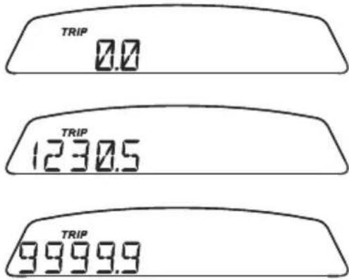 TRIP 0.0 TRIP 1230.5 TRIP 9999.9