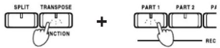 SPLIT TRANPOSE + PART 1 PART 2 PA INCPTION REC